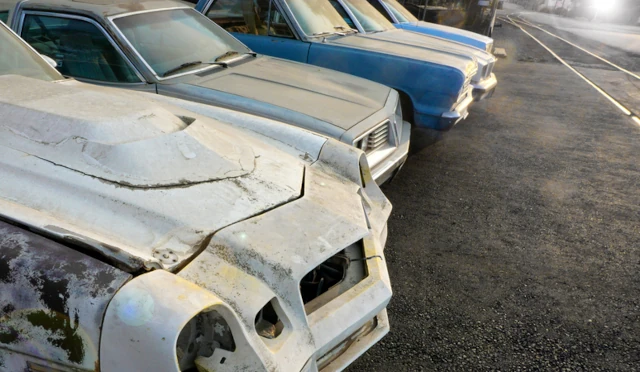 Hoods of cars in a salvage yard